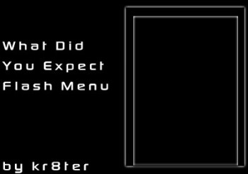 What Did You Expect Flash Menu